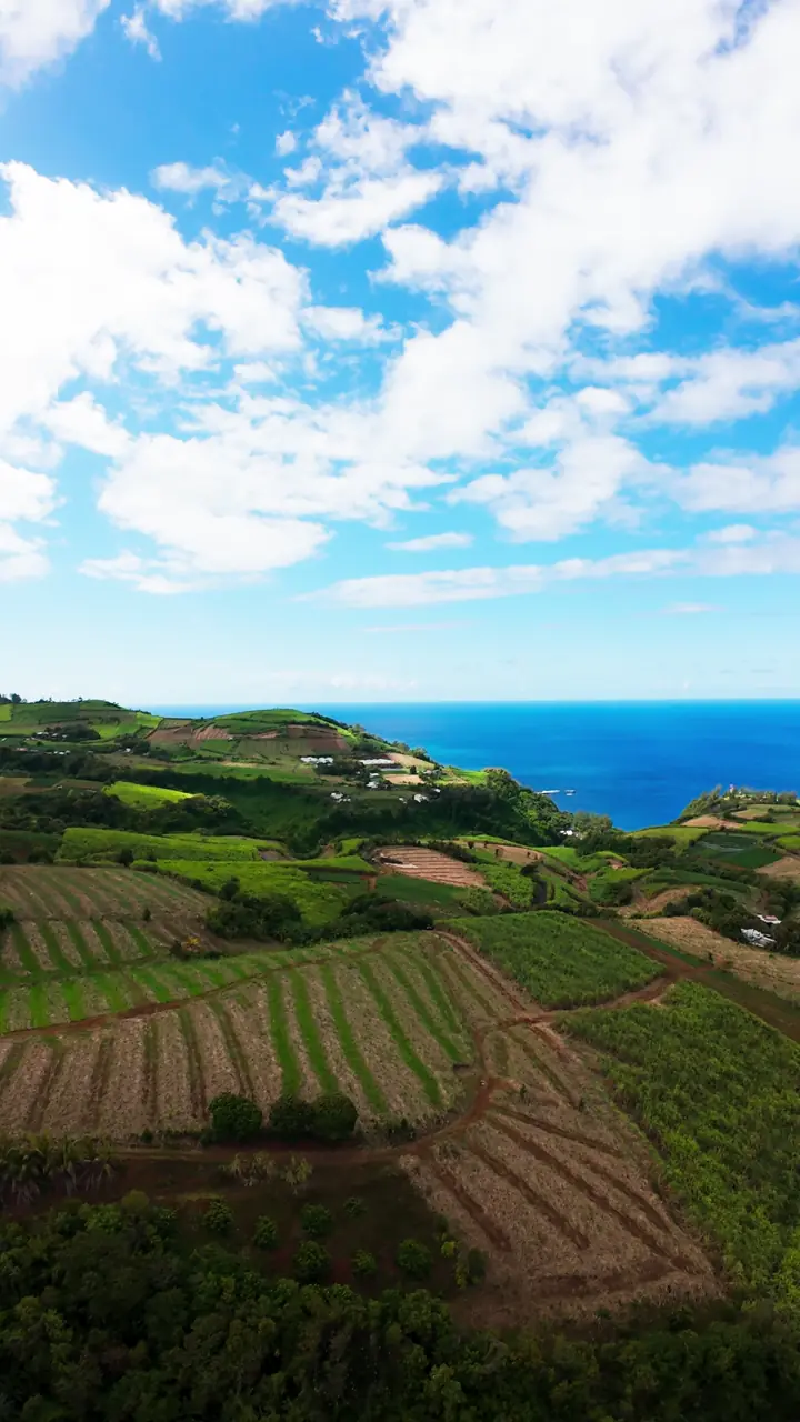 Survol drone FPV — Ô Fleur de Canne, location saisonnière